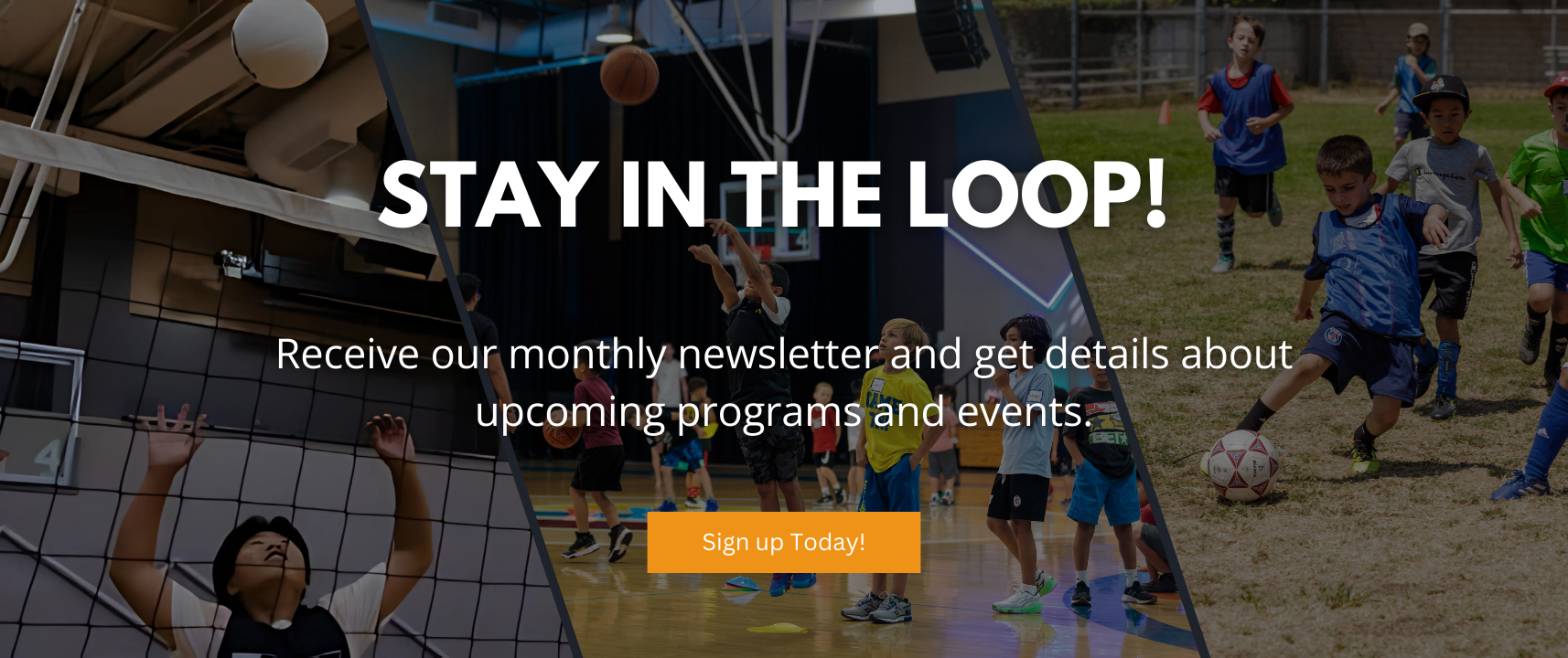 sign_up_for_the_Newsletter.png